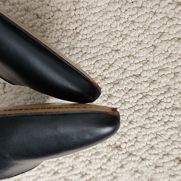 Circus by San Edelman - Picture 7 of 7